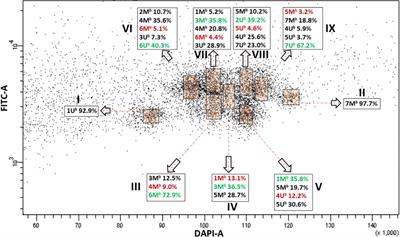 Flow karyotyping of wheat-Aegilops additions facilitate dissecting the genomes of Ae. biuncialis and Ae. geniculata into individual chromosomes